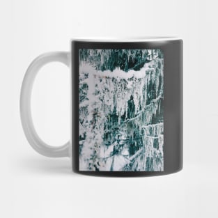 Wintertime - Closeup of Frost on Moss Hanging From Fir Tree Mug